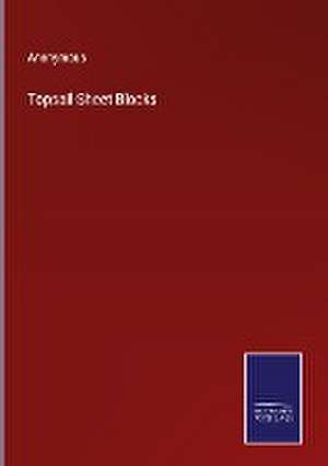 Topsail-Sheet Blocks de Anonymous