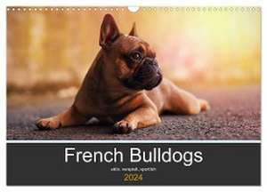 French Bulldog aktiv, verspielt, sportlich (Wandkalender 2024 DIN A3 quer), CALVENDO Monatskalender de Janina Block