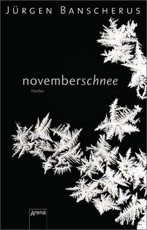 Novemberschnee de Jürgen Banscherus