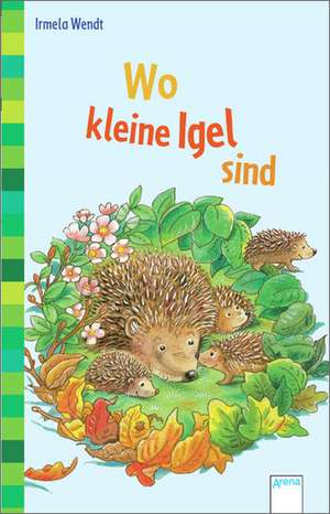 Wo kleine Igel sind de Irmela Wendt