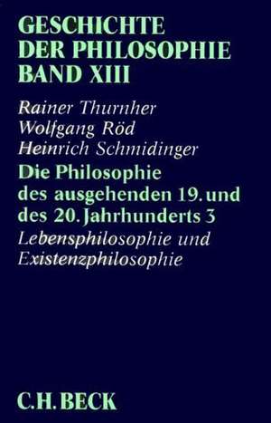 Die Philosophie des ausgehenden 19. und des 20. Jahrhunderts 3 de Rainer Thurnher