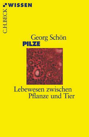 Pilze de Georg Schön