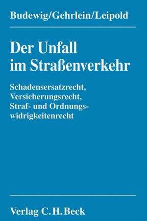 Der Unfall im Straßenverkehr de Klaus Budewig