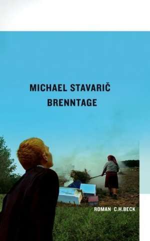 Brenntage de Michael Stavaric