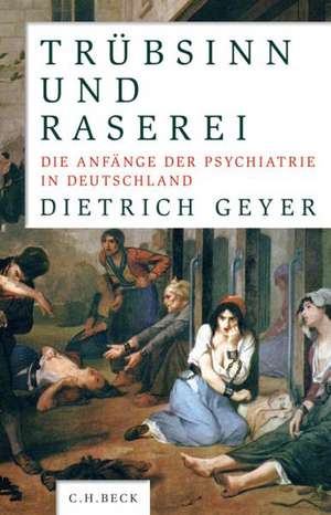 Trübsinn und Raserei de Dietrich Geyer