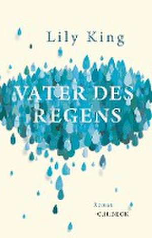 Vater des Regens de Lily King