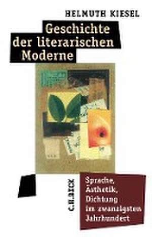 Geschichte der literarischen Moderne de Helmuth Kiesel