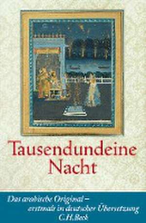 Tausendundeine Nacht de Claudia Ott