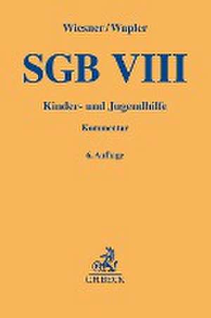 SGB VIII de Reinhard Wiesner