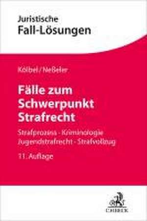 Fälle zum Schwerpunkt Strafrecht de Ulrich Eisenberg