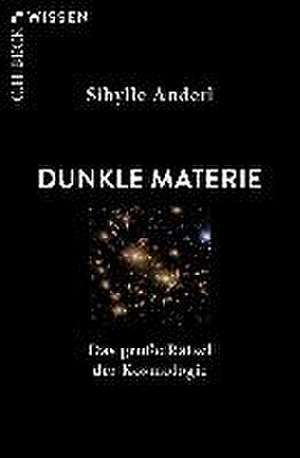 Dunkle Materie de Sibylle Anderl