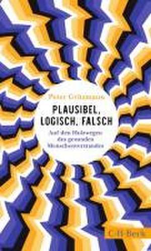 Plausibel, logisch, falsch de Peter Gritzmann