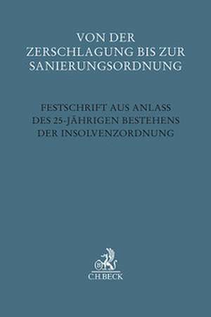 Von der Zerschlagung bis zur Sanierungsordnung de Gerrit Hölzle