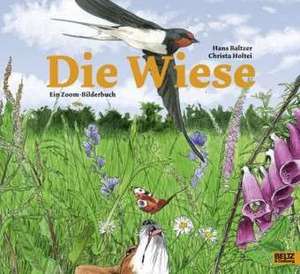 Die Wiese de Hans Baltzer