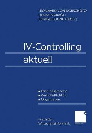 IV-Controlling aktuell: Leistungsprozesse Wirtschaftlichkeit Organisation de Leonhard von Dobschütz