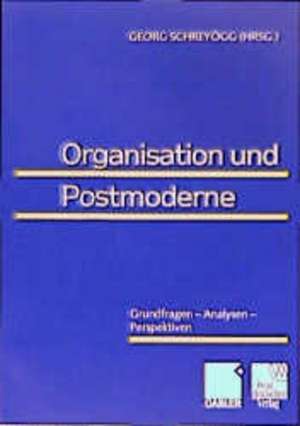 Organisation und Postmoderne: Grundfragen — Analysen — Perspektiven de Georg Schreyögg