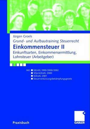 Einkommensteuer II: Einkunftsarten, Einkommensermittlung, Lohnsteuer (Arbeitgeber) de Jürgen Groels