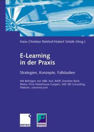 E-Learning in der Praxis: Strategien, Konzepte, Fallstudien de Hans-Christian Riekhof