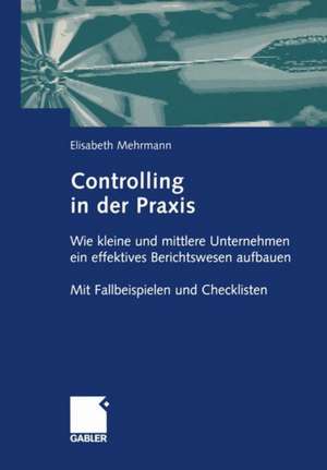 Controlling in der Praxis: Wie kleine und mittlere Unternehmen ein effektives Berichtswesen aufbauen Mit Fallbeispielen und Checklisten de Elisabeth Mehrmann