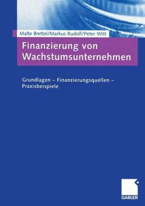 Finanzierung von Wachstumsunternehmen: Grundlagen — Finanzierungsquellen — Praxisbeispiele de Malte Brettel