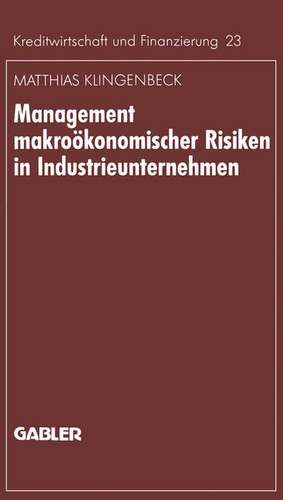 Management makroökonomischer Risiken in Industrieunternehmen: Möglichkeiten einer effektiveren Gestaltung am Beispiel des Währungsrisikos de Matthias Klingenbeck