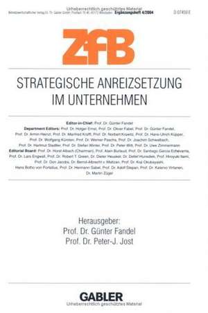 Strategische Anreizsetzung im Unternehmen de Günter Fandel