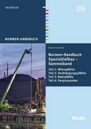 Handbuch Spezialtiefbau: Gesamtausgabe de Britta Grotewold