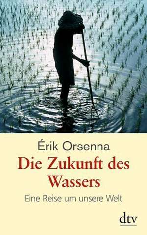 Die Zukunft des Wassers de Erik Orsenna