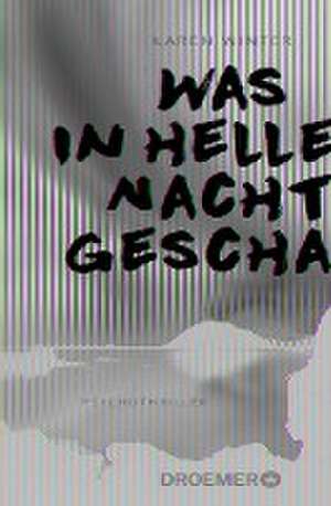 Was in heller Nacht geschah de Karen Winter