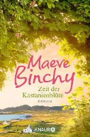 Zeit der Kastanienblüte de Maeve Binchy