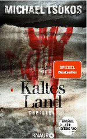 Kaltes Land de Michael Tsokos