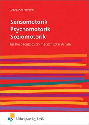 Sensomotorik - Psychomotorik - Soziomotorik de Rilo Pöhlmann