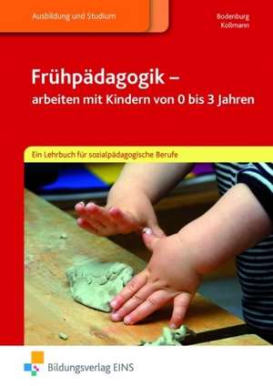 Frühpädagogik - arbeiten mit Kindern von 0 bis 3 Jahren de Inga Bodenburg