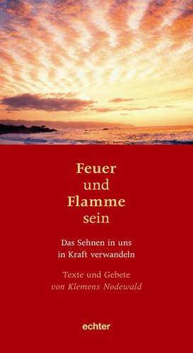 Feuer und Flamme sein de Klemens Nodewald