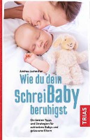 Wie du dein Schreibaby beruhigst de Andrea Zschocher