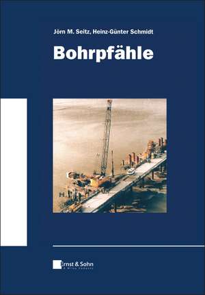 Bohrpfähle de Jörn M. Seitz