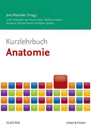 Kurzlehrbuch Anatomie de Marco Koch