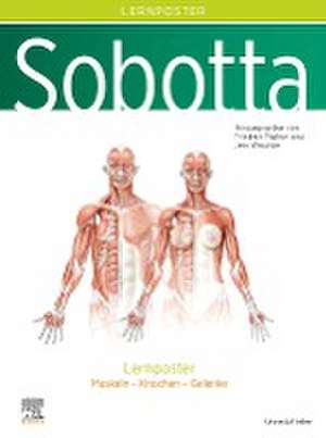 Sobotta Lernposter Anatomie de Friedrich Paulsen