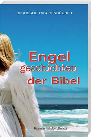 Engelgeschichten der Bibel de Christiane Herrlinger