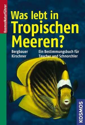 Was lebt in Tropischen Meeren? de Matthias Bergbauer