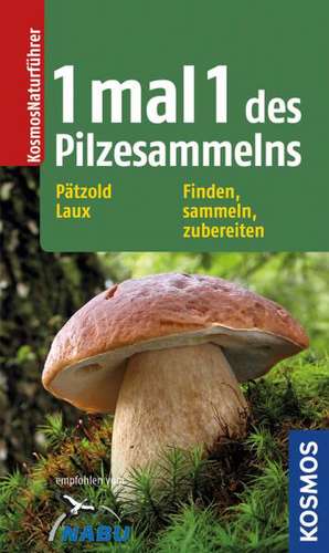 1 mal 1 des Pilzesammelns de Walter Pätzold