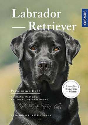 Labrador Retriever de Anja Möller