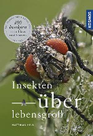 Insekten überlebensgroß de Matthias Helb