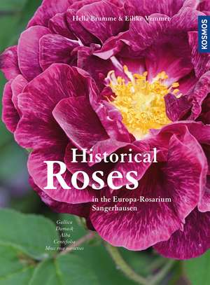 Historical Roses de Eilike Vemmer