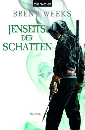 Jenseits der Schatten de Brent Weeks