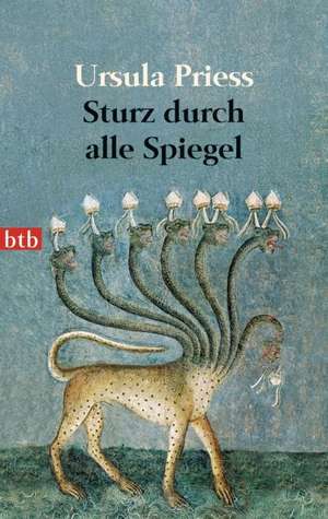 Sturz durch alle Spiegel de Ursula Priess