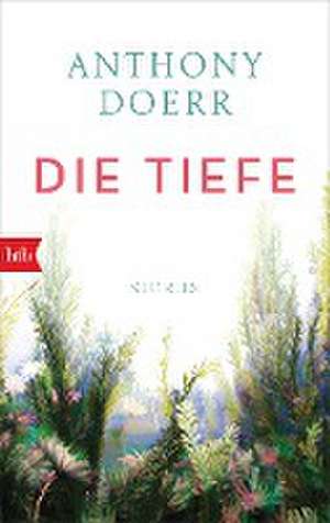 Die Tiefe de Anthony Doerr