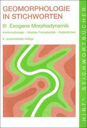 Geomorphologie in Stichworten. Exogene Morphodynamik de Christine Embleton-Hamann