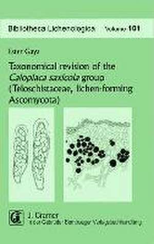 Taxonomical revision of the Caloplaca saxicola group (Teloschistaceae, lichen-forming Ascomycota) de Ester Gaya