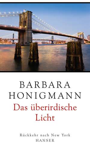 Das überirdische Licht de Barbara Honigmann